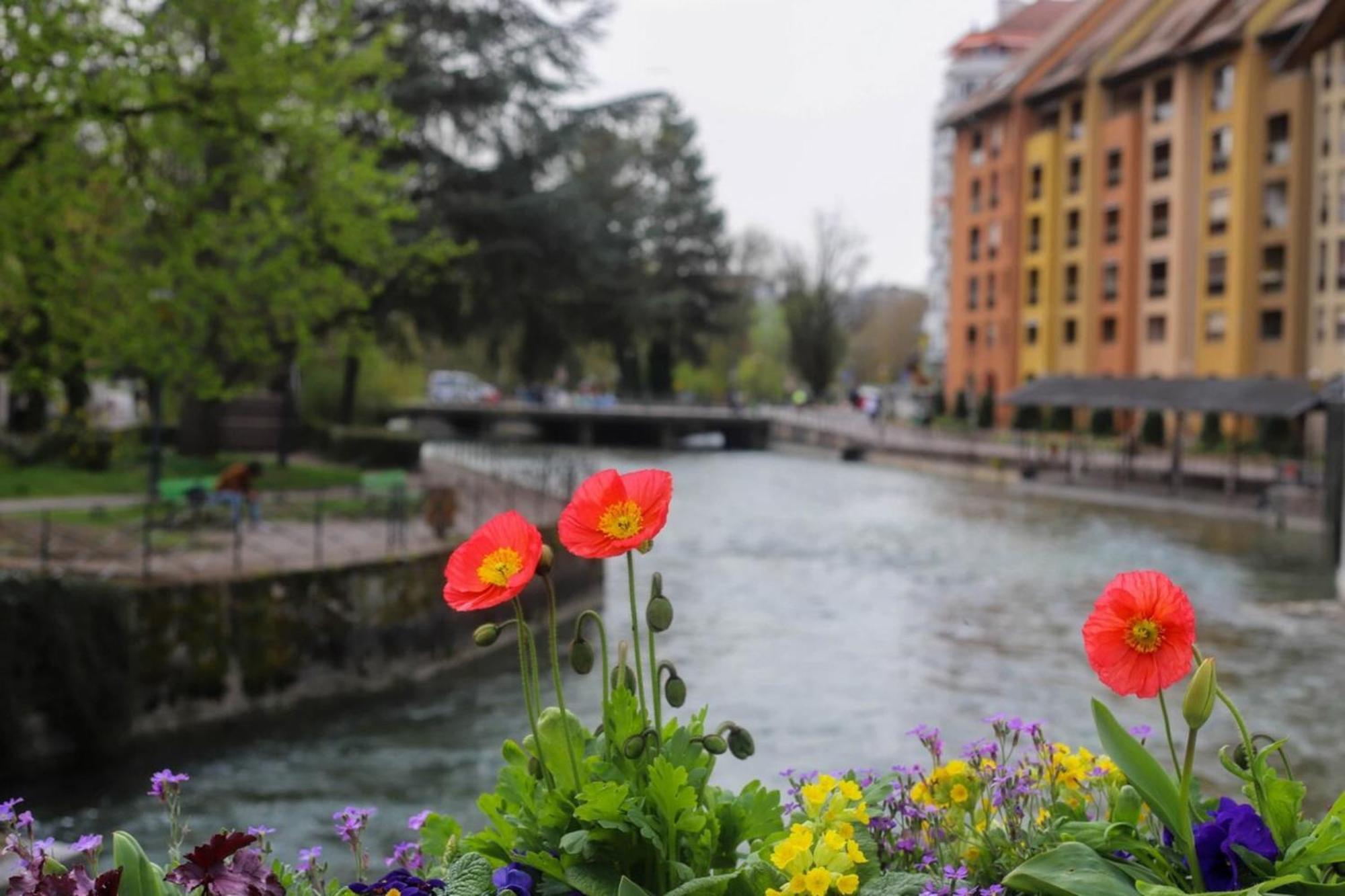 Le Coeur De Ville Splendide T2 Plein Centre Annecy Exterior foto